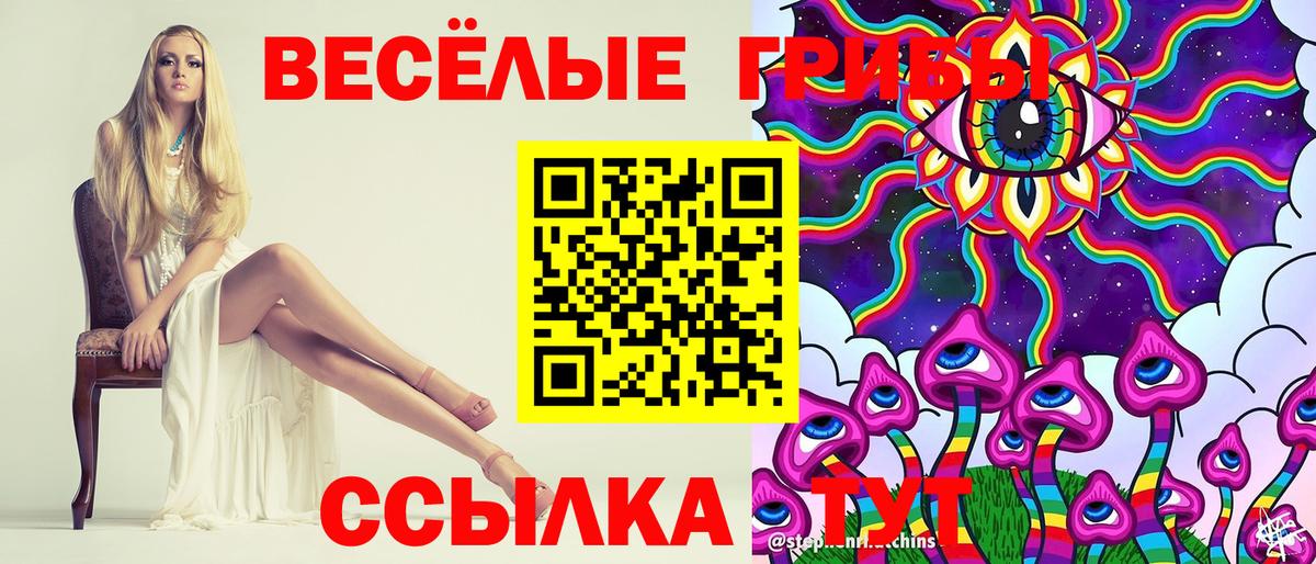Псилоцибиновые грибы GOLDEN TEACHER Россия