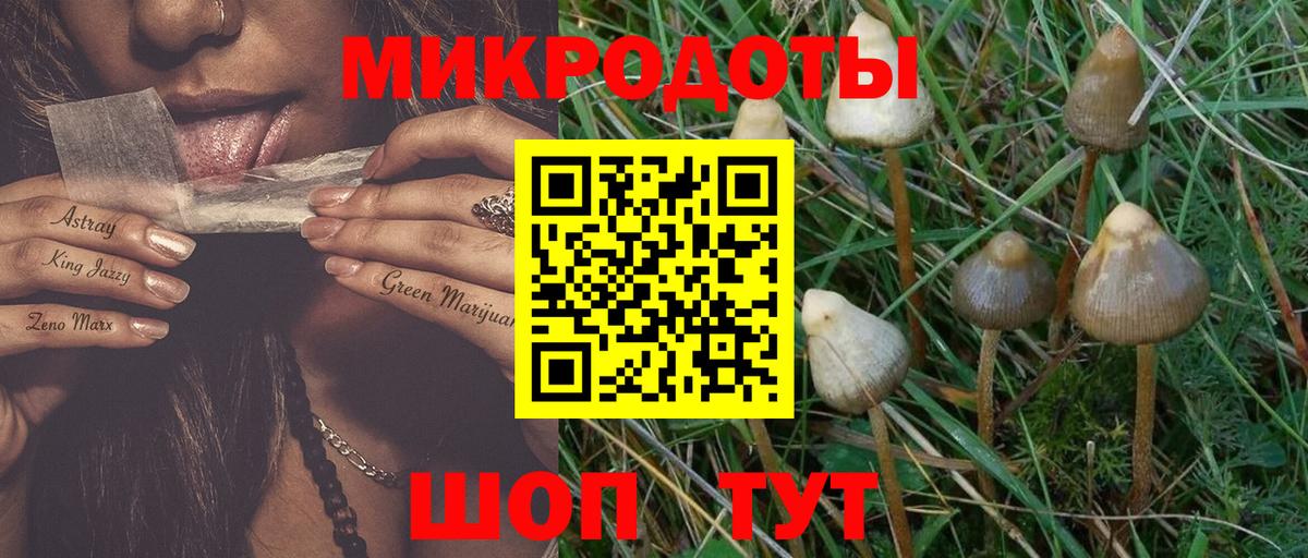 Россия  Псилоцибиновые грибы MAGIC MUSHROOMS  Вход с VPN 